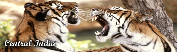 Central India